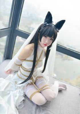 狂欲总裁_国产剧日韩免费观看